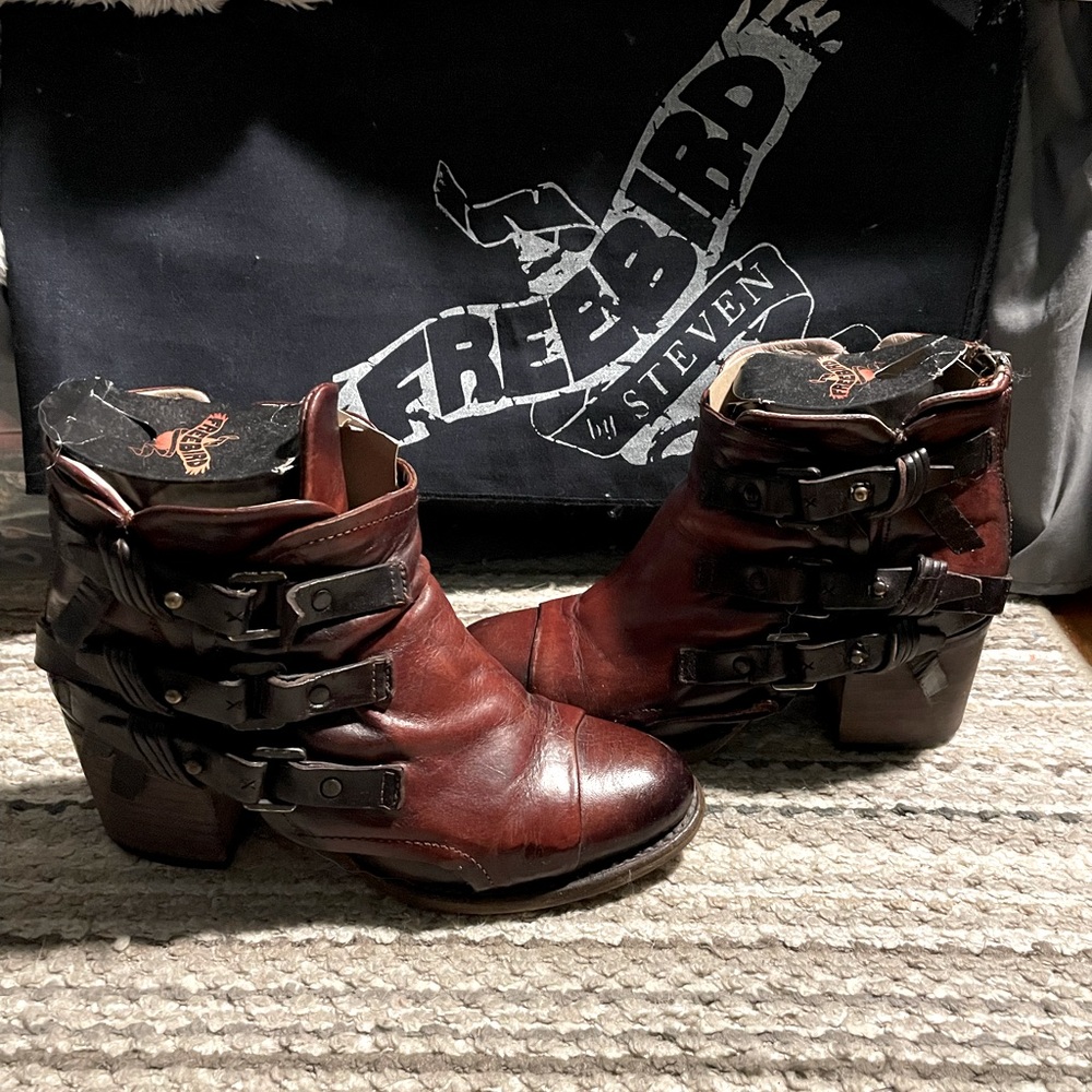 Freebird by Steven Circe